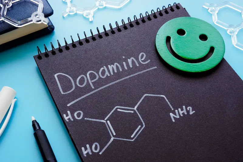 Understanding Dopamine More Than Just a Feel-Good Chemical